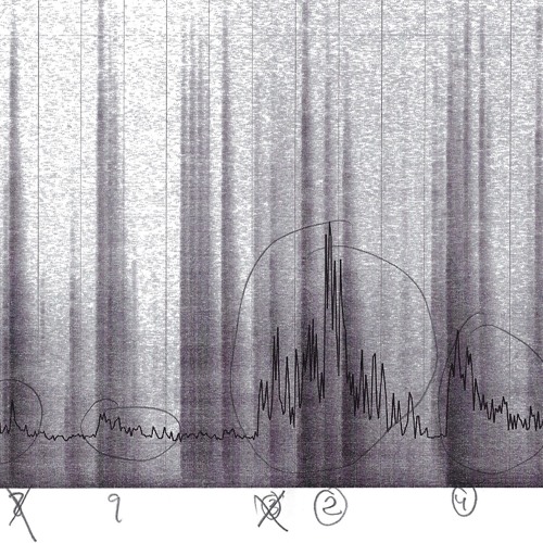 An Elevator Door's 16 Selected Seconds (Material Original 19s)