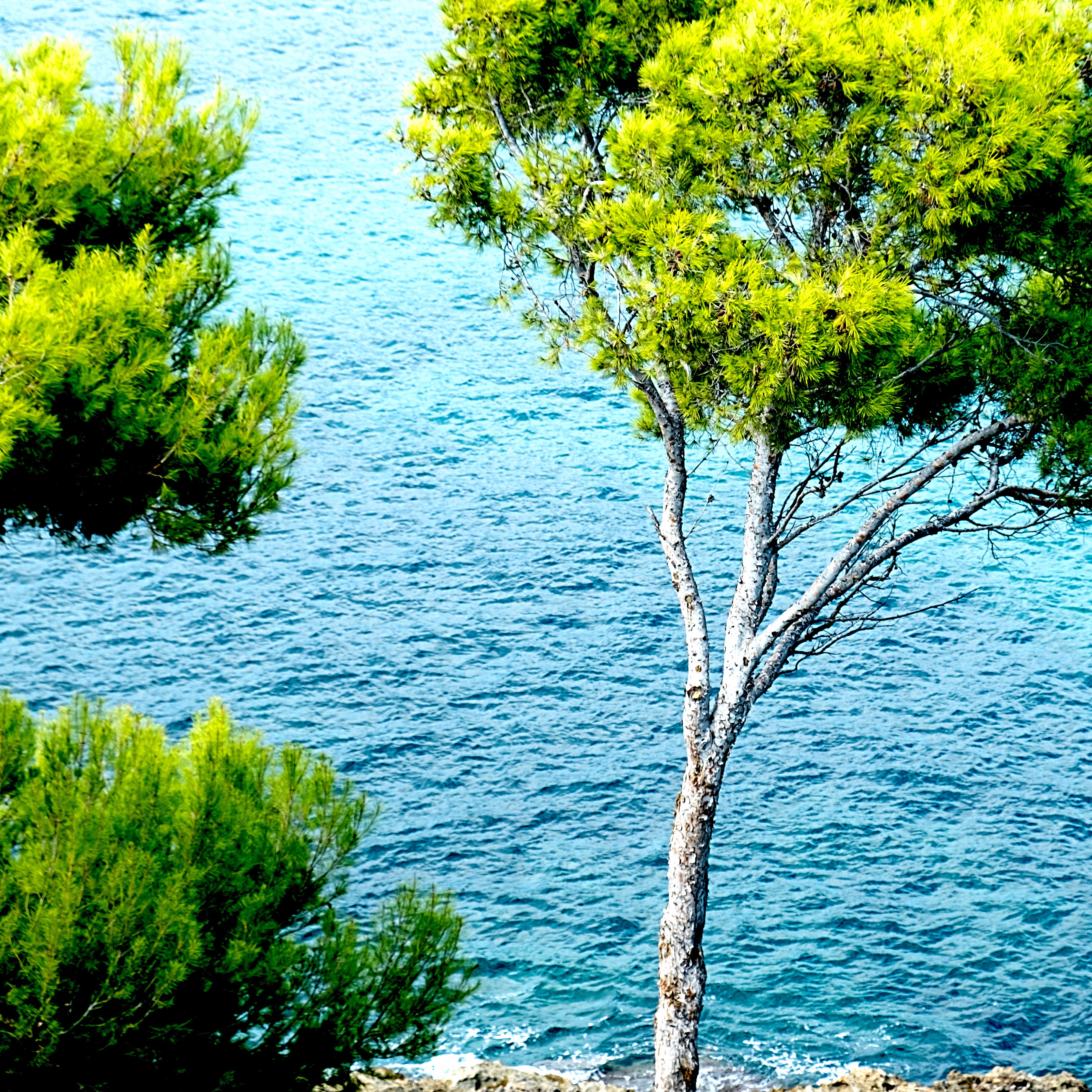 September in Camp de Mar